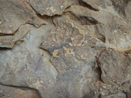 Petroglyphs at Cueva Remigia, Spain.